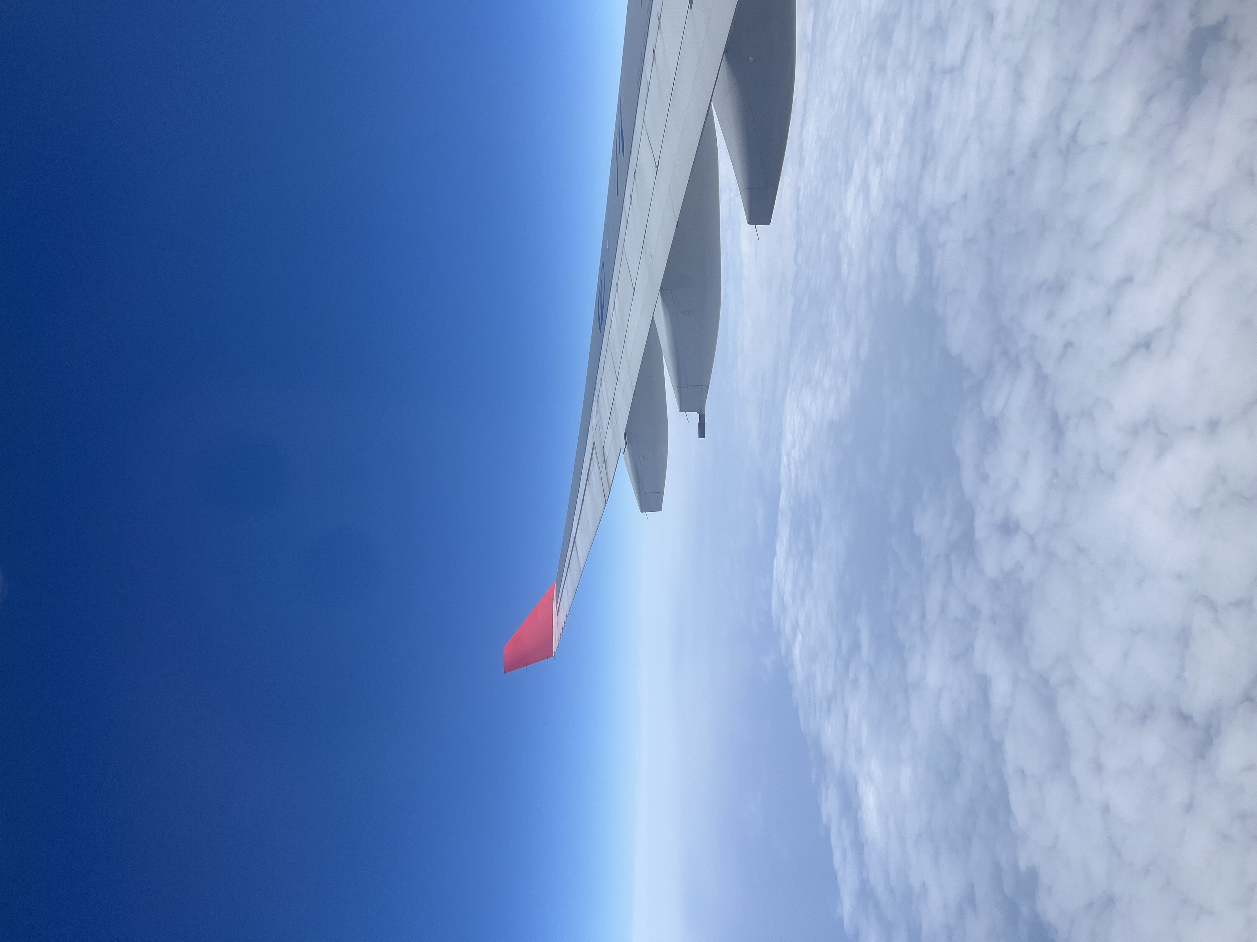 牛牛