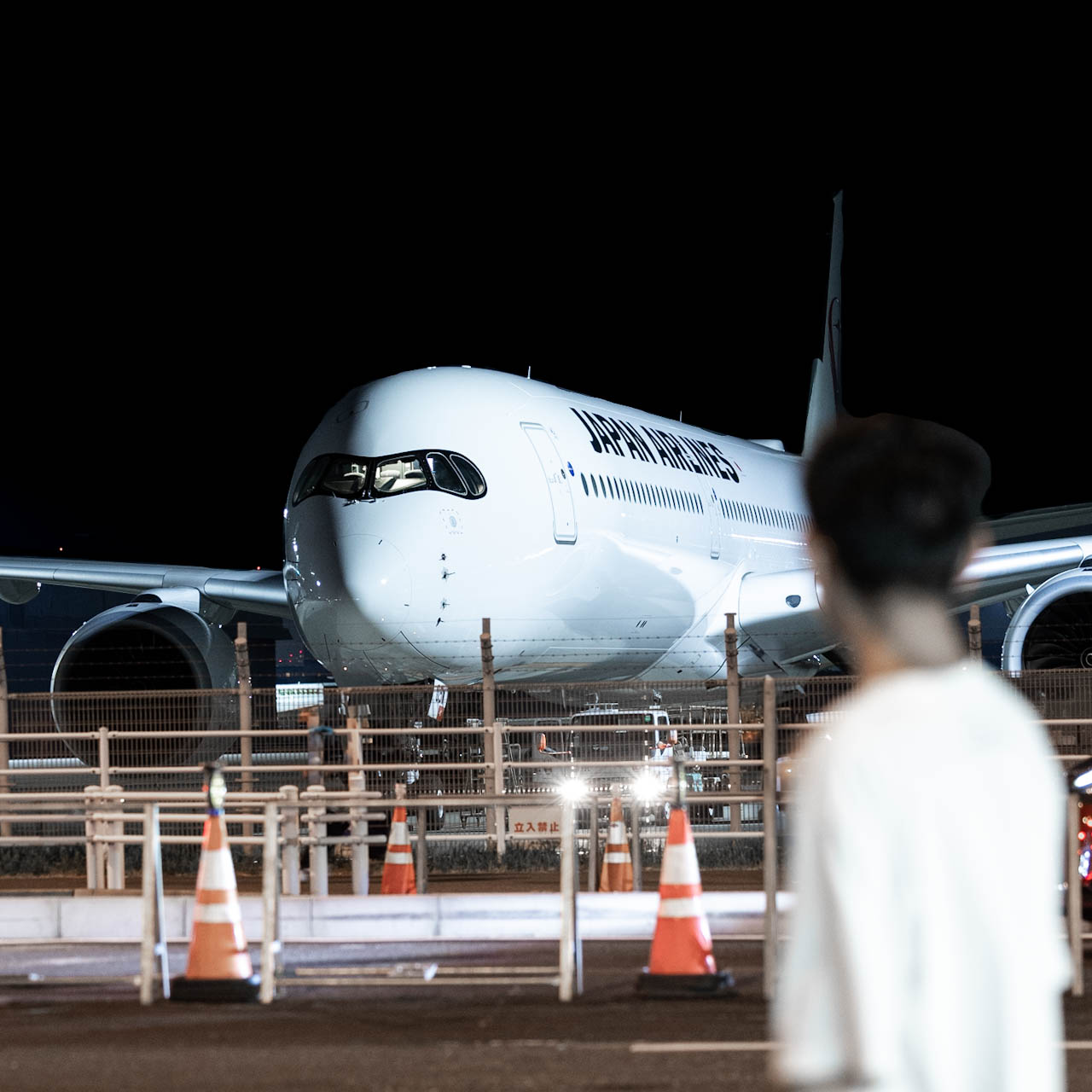 Fly_tpe