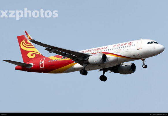 B-LPP