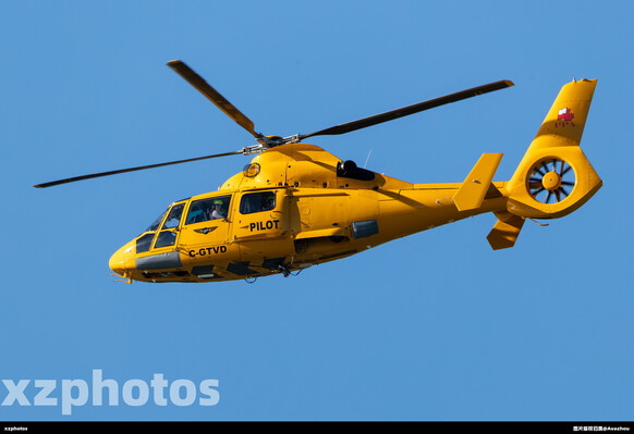 C-GTVD