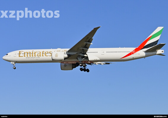 A6-ENK