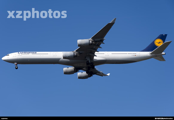 D-AIHW