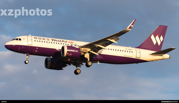 B-306T
