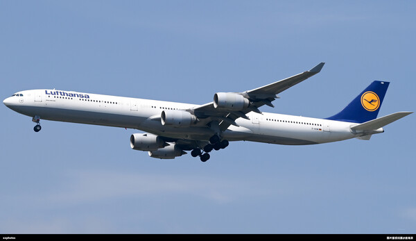 D-AIHW