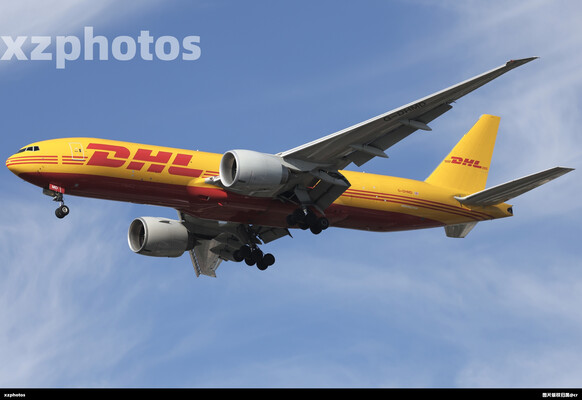 G-DHMD