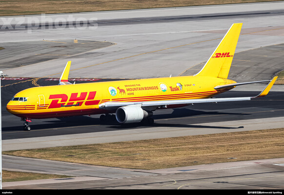 G-DHLP