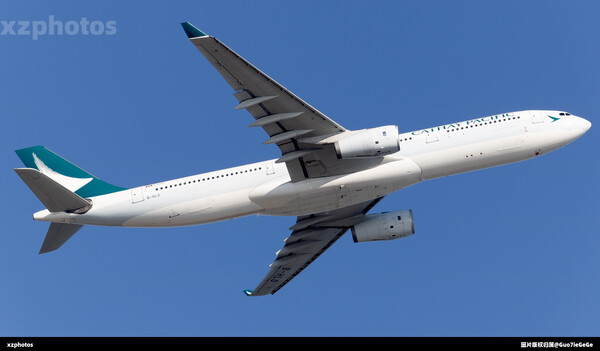B-HLO