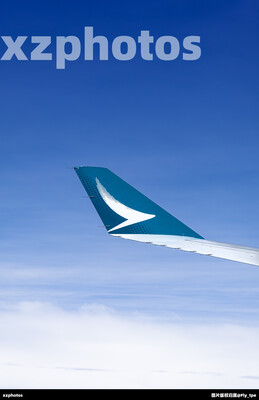 B-HYQ