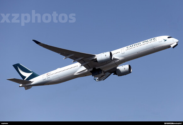 B-LXP