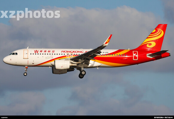 B-LPO