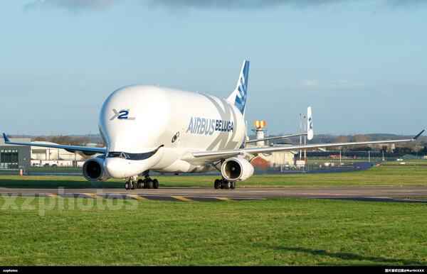 BELUGA