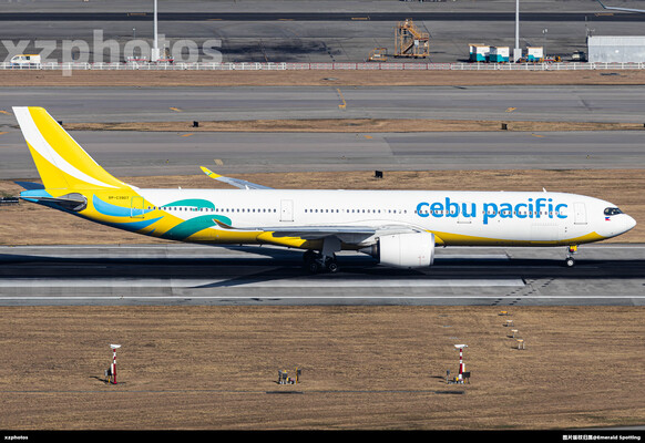RP-C3907