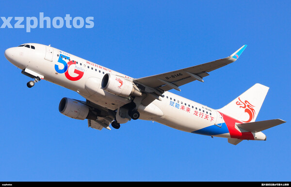 B-8146