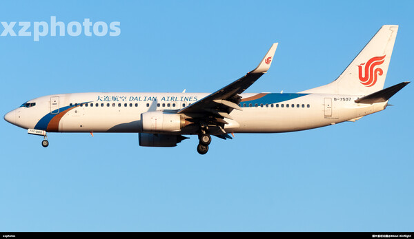 黄金737