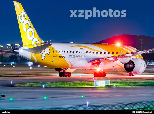 新加坡scoot
