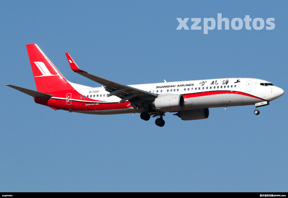 B-7397