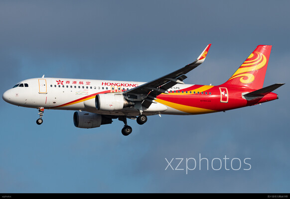 B-LPO