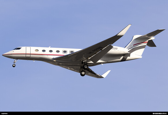 HL8299