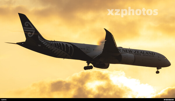 ZK-NZL