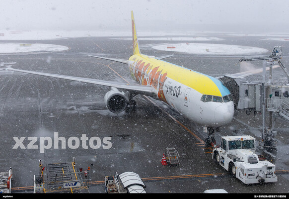 雪中JA607A