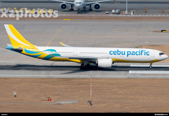 Cebu339