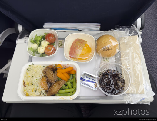 KE2103 首尔仁川-东京羽田 经济舱航食