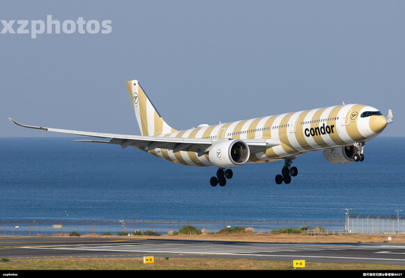 Condor339