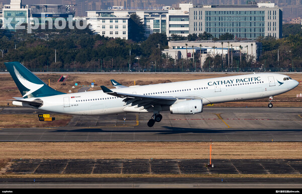 B-HLO