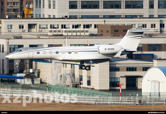 B-8288