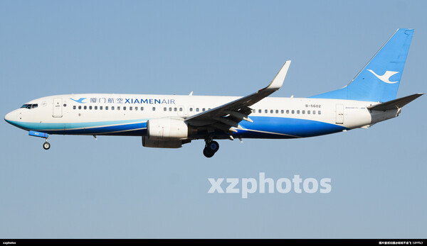 B-5602