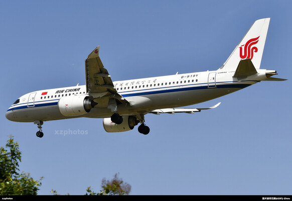 B-919Y