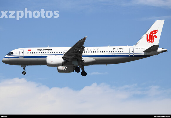 B-919Z