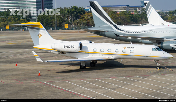 B-8290