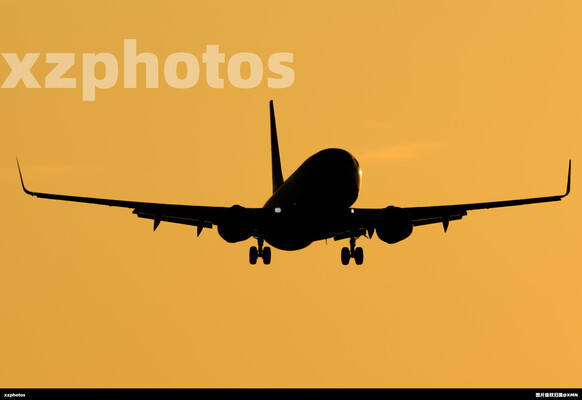 厦门航空738