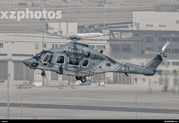 B-LVH