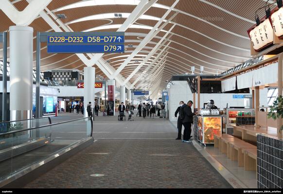 PVG T2