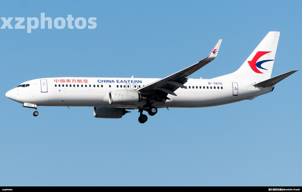B-7875