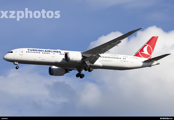 TC-LLB