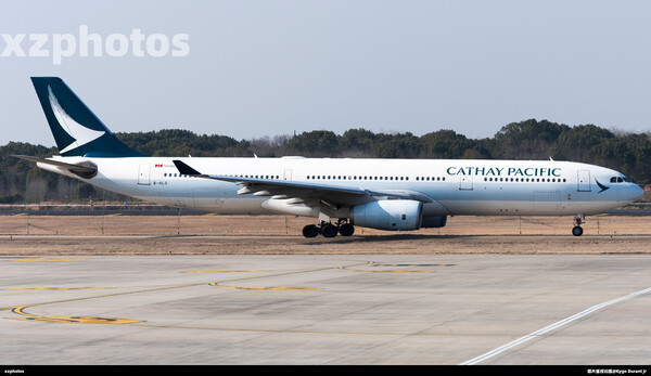 B-HLO