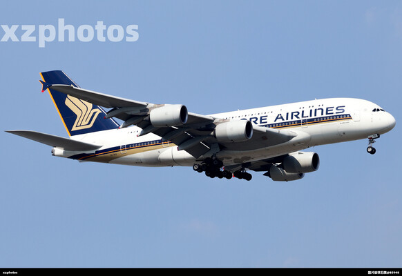 新加坡航空