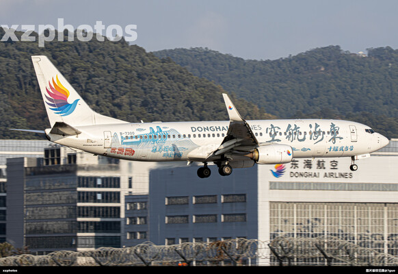 东海航空