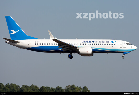 B-20DY