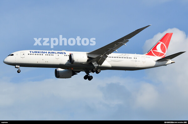 TC-LLB
