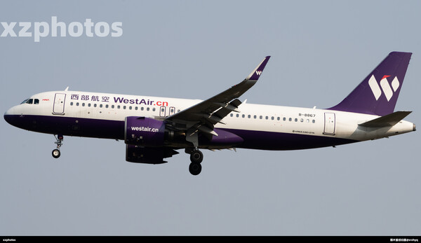 B-8867