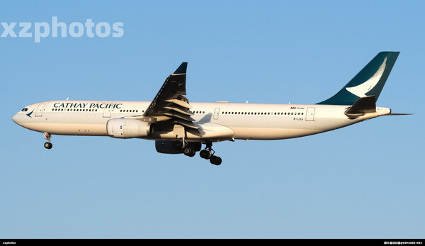 B-LBA