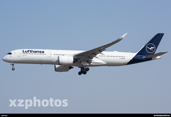 D-AIXO