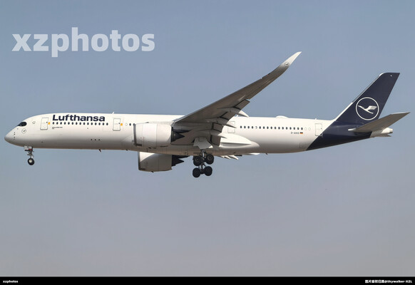 D-AIXO