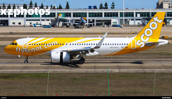 fly scoot