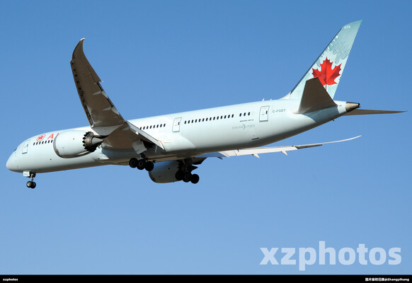 C-FGDT