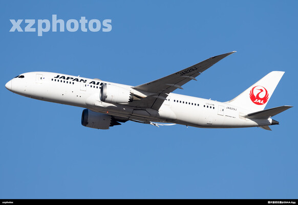 JA829J
